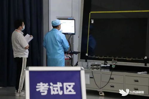 东西湖区颁发首批显示器件制造“技能认定”证书，助力产业人才专业化发展